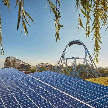 Solar modules in a meadow, with a tree in the foreground and the silhouette of Europa-Park visible in the distance.