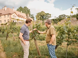 Thomas Mack and Mathieu Kauffmann examine the vines at Château Ollwiller.