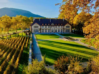 The picturesque grounds of the Château Ollwiller vineyard, surrounded by golden yellow trees and grapevines.