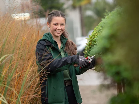 An employee of the garden centre at the Europa-Park Resort at work with various plants.