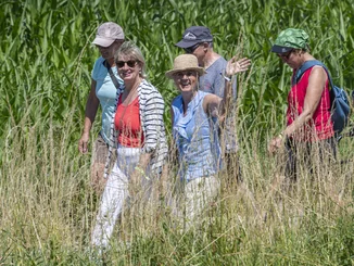 Mauritia Mack on a pilgrimage in nature to the ‘Shell in Europe’.