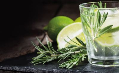 A glass of gin and tonic with rosemary and lime at ‘Gin Tonic & Burger’ in the Europa-Park Resort.