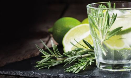 Un verre de Gin Tonic avec du romarin et du citron vert lors de la soirée « Gin Tonic & Burger » à Europa-Park Resort.